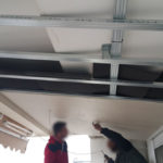 Ixodomiki-Pliakas-mpalkonia-3