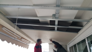 Ixodomiki-Pliakas-mpalkonia-3